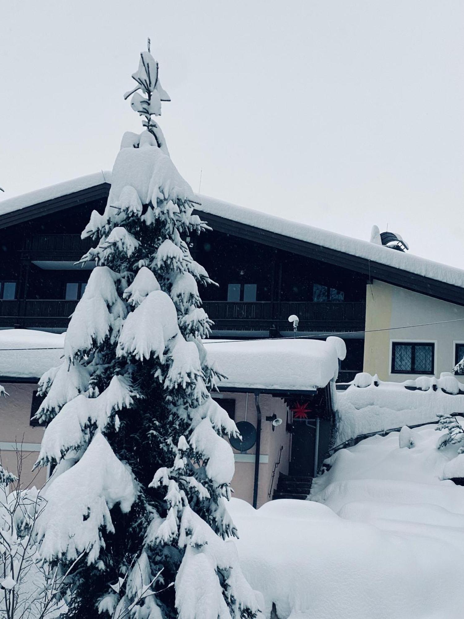 Appartementhaus Hochkoenig - Panoramablick Muhlbach Am Hochkonig Bagian luar foto
