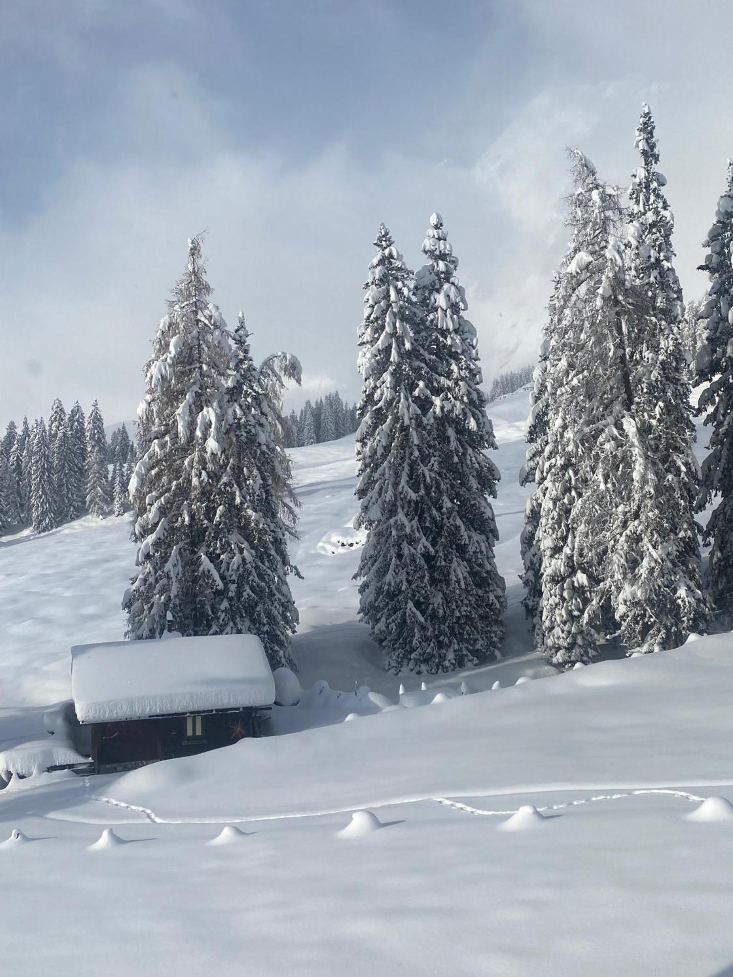 Appartementhaus Hochkoenig - Panoramablick Muhlbach Am Hochkonig Bagian luar foto